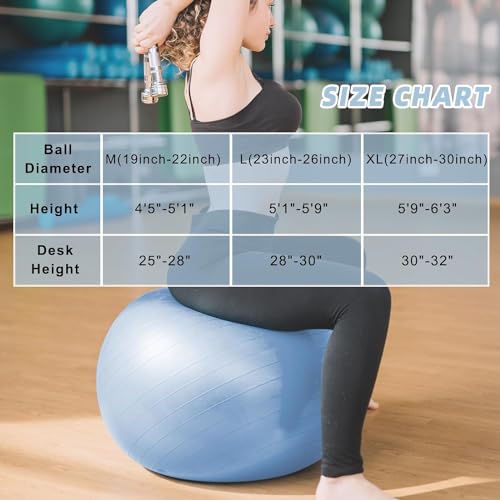 DrfzCa Exercise Ball, Pilates Ball for Pregnancy, Swiss Balance Ball with Pump,Multiple Sizes Stability Ball Chair for Office, Home Gym, Fitness, Workout and Physical Therapy