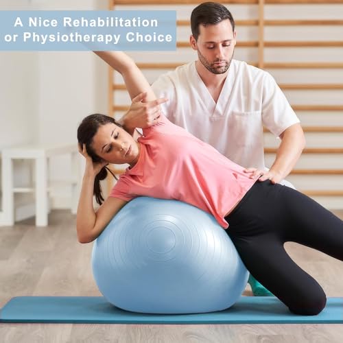 DrfzCa Exercise Ball, Pilates Ball for Pregnancy, Swiss Balance Ball with Pump,Multiple Sizes Stability Ball Chair for Office, Home Gym, Fitness, Workout and Physical Therapy