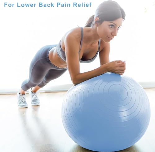 DrfzCa Exercise Ball, Pilates Ball for Pregnancy, Swiss Balance Ball with Pump,Multiple Sizes Stability Ball Chair for Office, Home Gym, Fitness, Workout and Physical Therapy