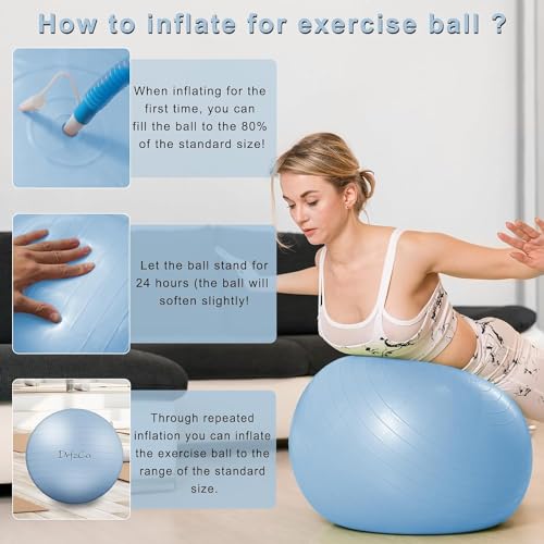 DrfzCa Exercise Ball, Pilates Ball for Pregnancy, Swiss Balance Ball with Pump,Multiple Sizes Stability Ball Chair for Office, Home Gym, Fitness, Workout and Physical Therapy