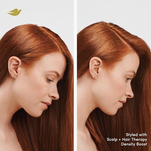 Dove Density Boost Hydrating Shampoo Scalp + Hair Therapy for Gentle Cleansing, with Vitamin B3, Zinc and 0% sulfates, 9.25 oz