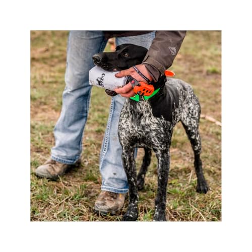 DT SYSTEMS Super Pro Durable Shock-Absorbing Waterfowl Upland Hunting Dog Training Dummy Launcher w/ Floating Scent-Holding Dummy, Blaze Orange