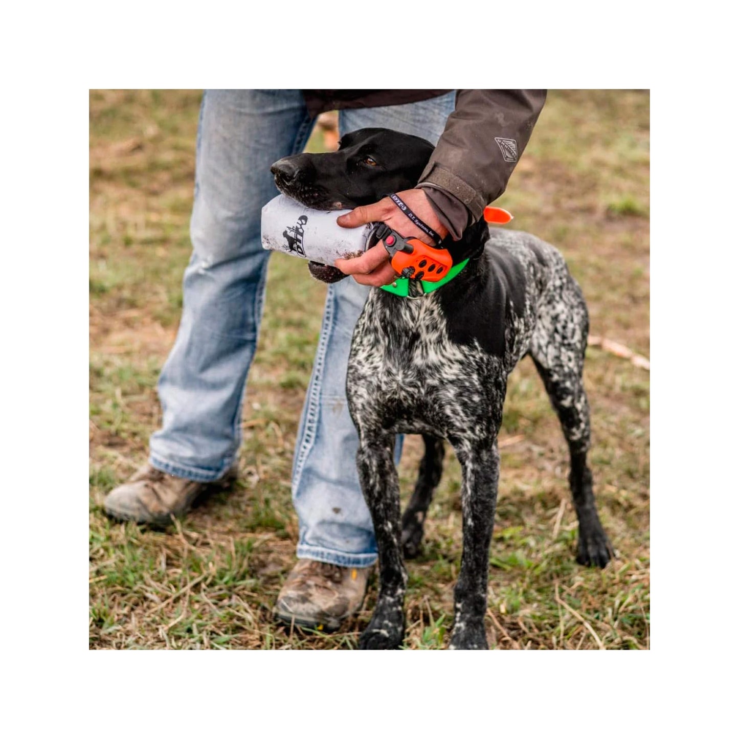 DT SYSTEMS Super Pro Durable Shock-Absorbing Waterfowl Upland Hunting Dog Training Dummy Launcher w/ Floating Scent-Holding Dummy, Bright White
