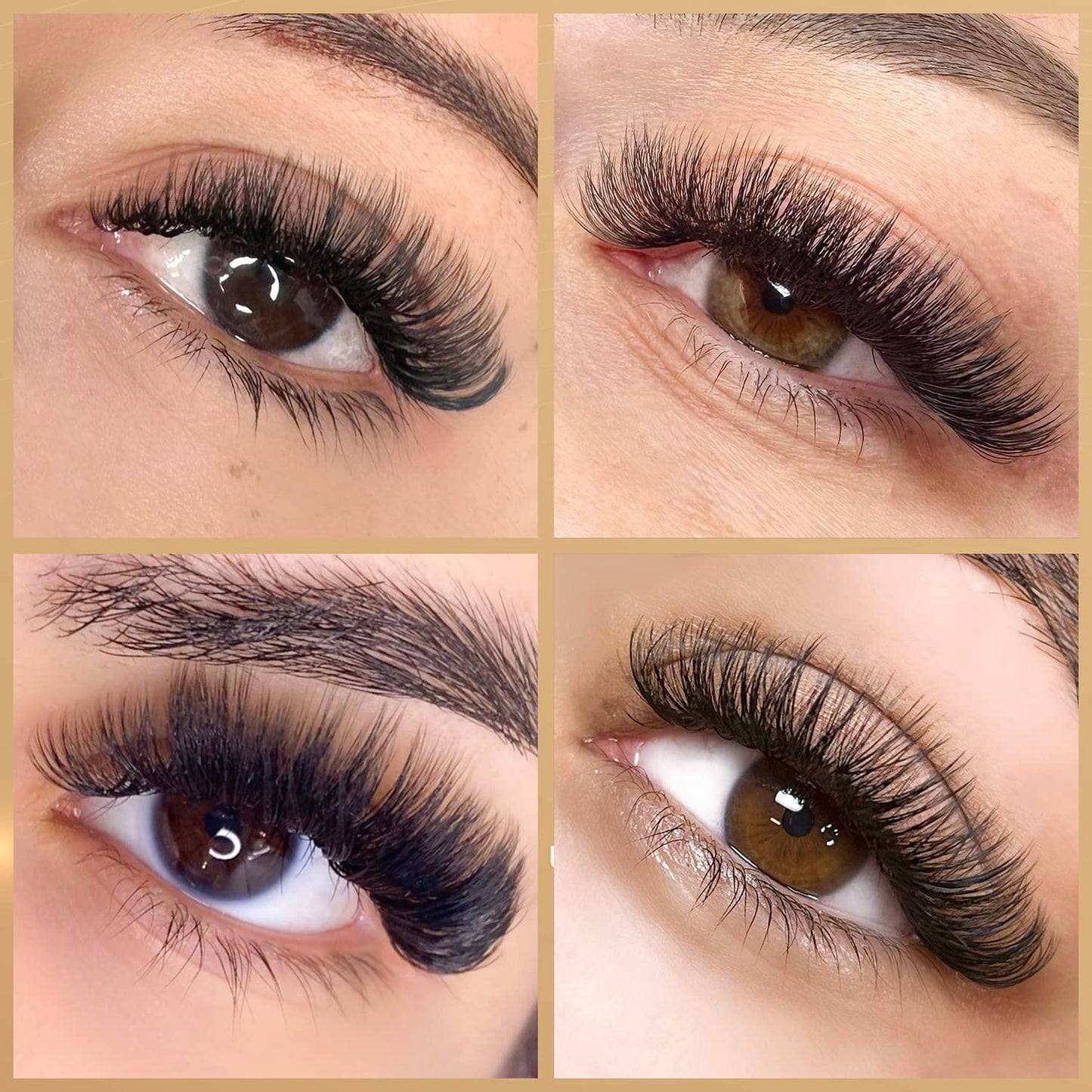 Easy Fan Lashes 0.05 D 8-15MM * 3 Packs & 0.07 D 8-15MM *2 Packs