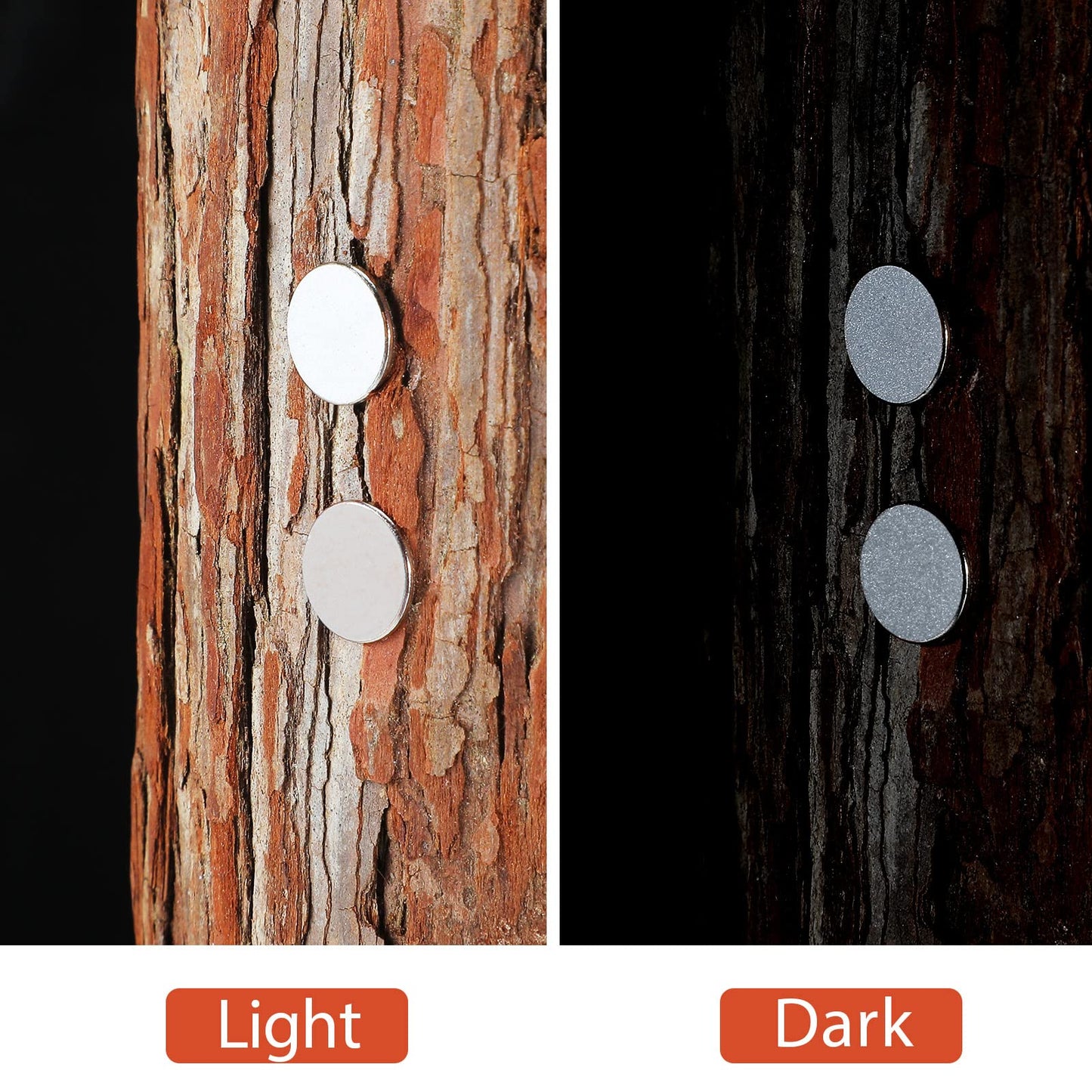 Epakh 200 Pack Reflective Tacks Trail Marking Tacks Glow Tacks Reflective Trail Markers Hunting Reflector Tacks Mark Trail Reflective Thumb Tacks for Hunting Hiking Camping Tree Stand (White)
