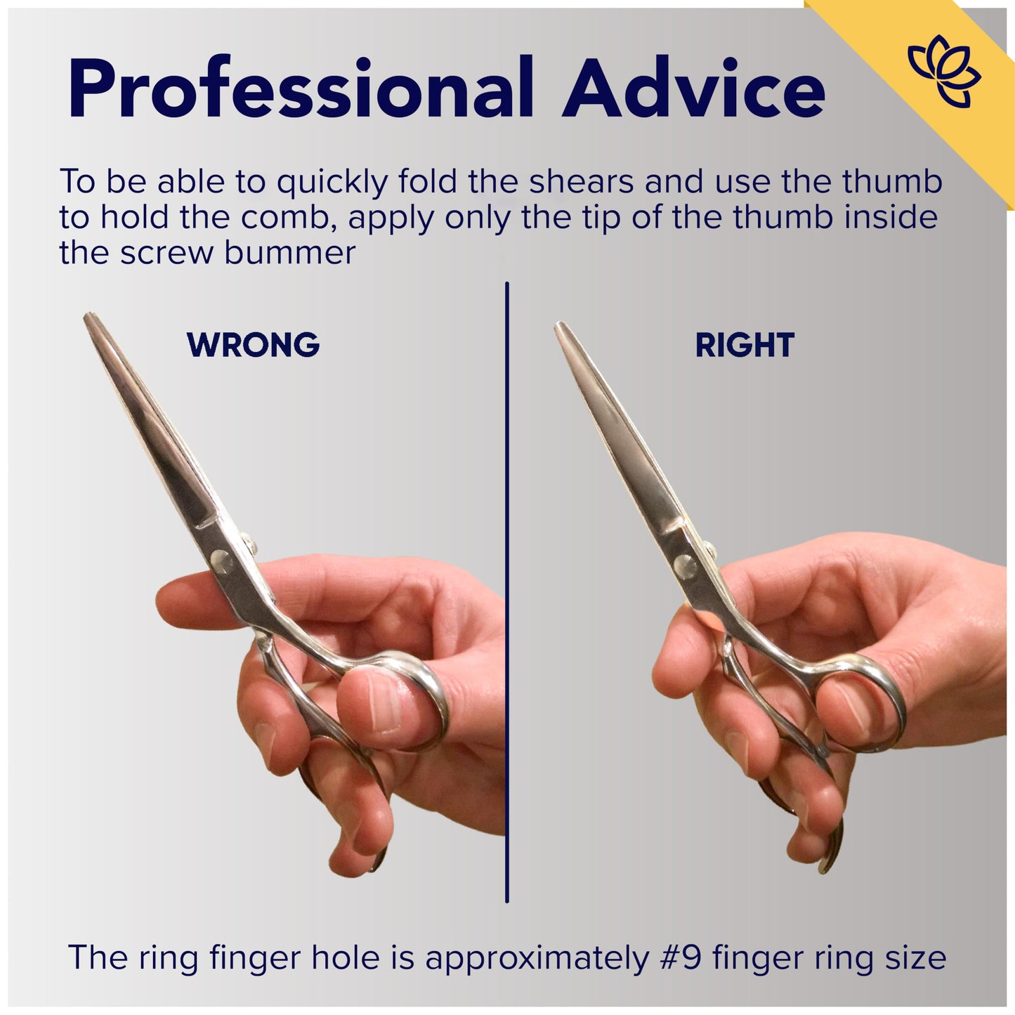 Equinox Professional Razor Edge Hair Cutting/Thinning Scissor Set/2, 6.5"