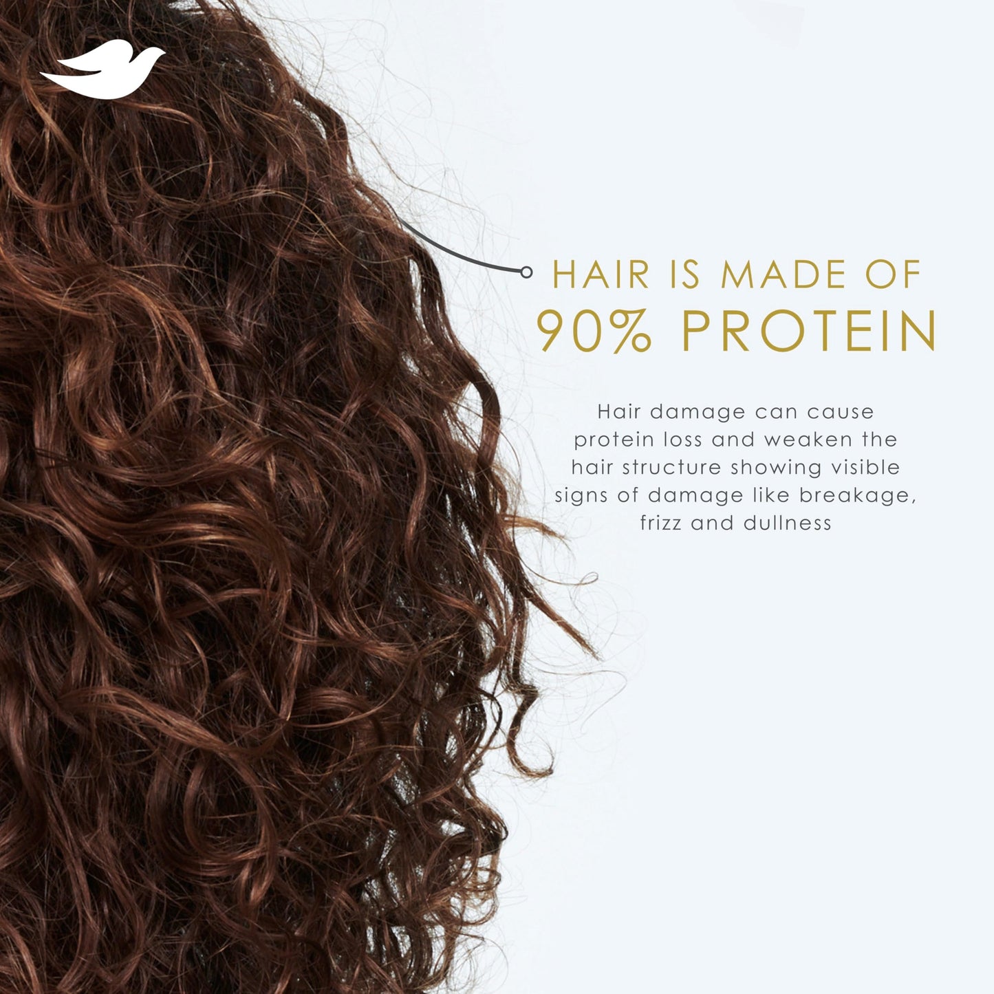 Dove Conditioner Coconut & Hydration for Dry Hair with Bio-Protein Care Technology and Coconut Oil 12 Fl Oz