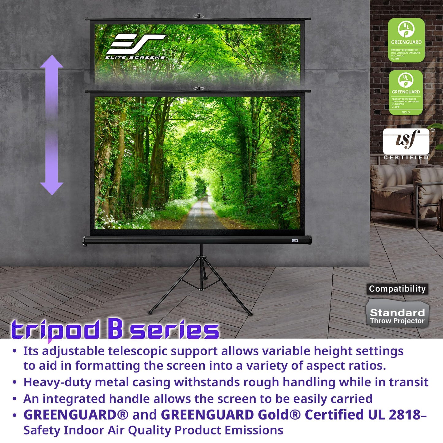 Elite Screens Tripod B, 113-INCH 1:1, Lightweight Pull Up Foldable Stand, Manual, Movie Home Theater Projector Screen, 4K / 8K Ultra HDR 3D Ready, 2-YEAR WARRANTY, T113SB