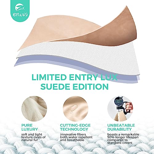 ENOVI ProBalanceΩ Ball Chair, Yoga Ball Chair Exercise Ball Chair with Slipcover and Base for Home Office Desk, Birthing & Pregnancy, Stability Ball & Balance Ball Seat to Relieve Back Pain, 65cm, WF