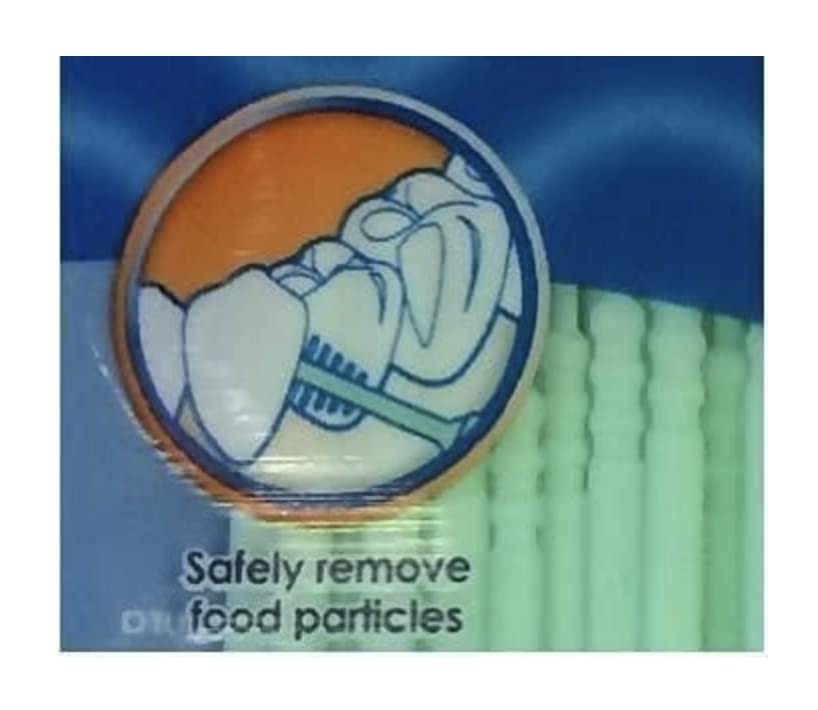 Dr. Fresh Floss Picks 100 Count Single Pack