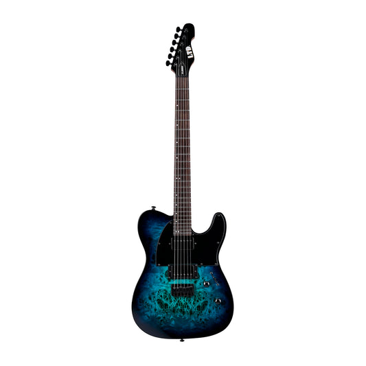 ESP LTD TE-200DX Electric Guitar - Blue Burst