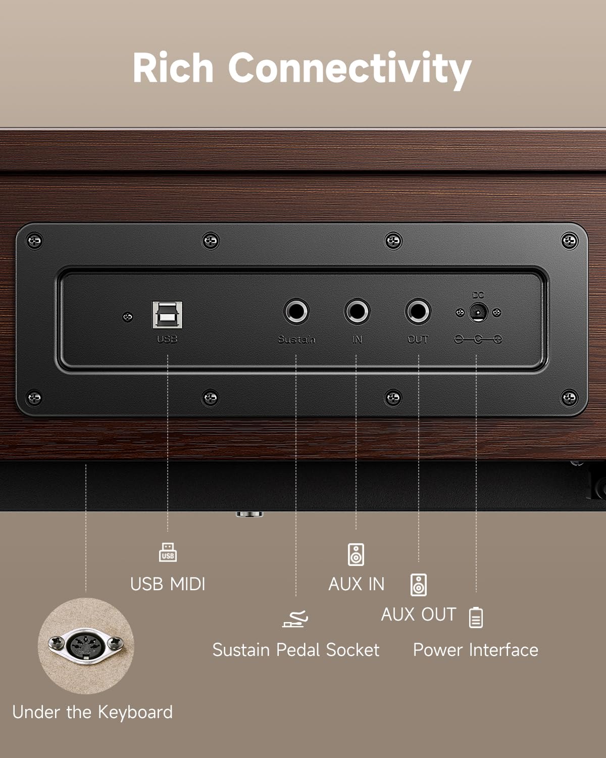 Donner OURA R300 88 Key Weighted Keyboard Piano for Advanced, Home Digital Piano with 88 Keys Graded Hammer Standard Keyborad, Bluetooth, LOCAL OFF, 2*15W, Half-pedal, 256 Polyphony, Walnut Wood Color