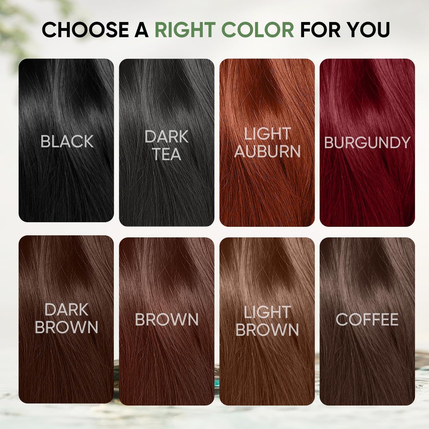 DYEING 221 BC FARNDU Chestnut Brown Hair Dye Shampoo for Gray Hair Coverage - 3 In 1 Natural Hair Color Shampoo for Women & Men, Champu Para Canas Mujer